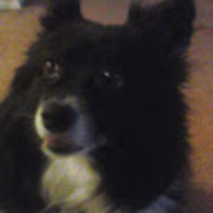 Meet your Posher, Candace